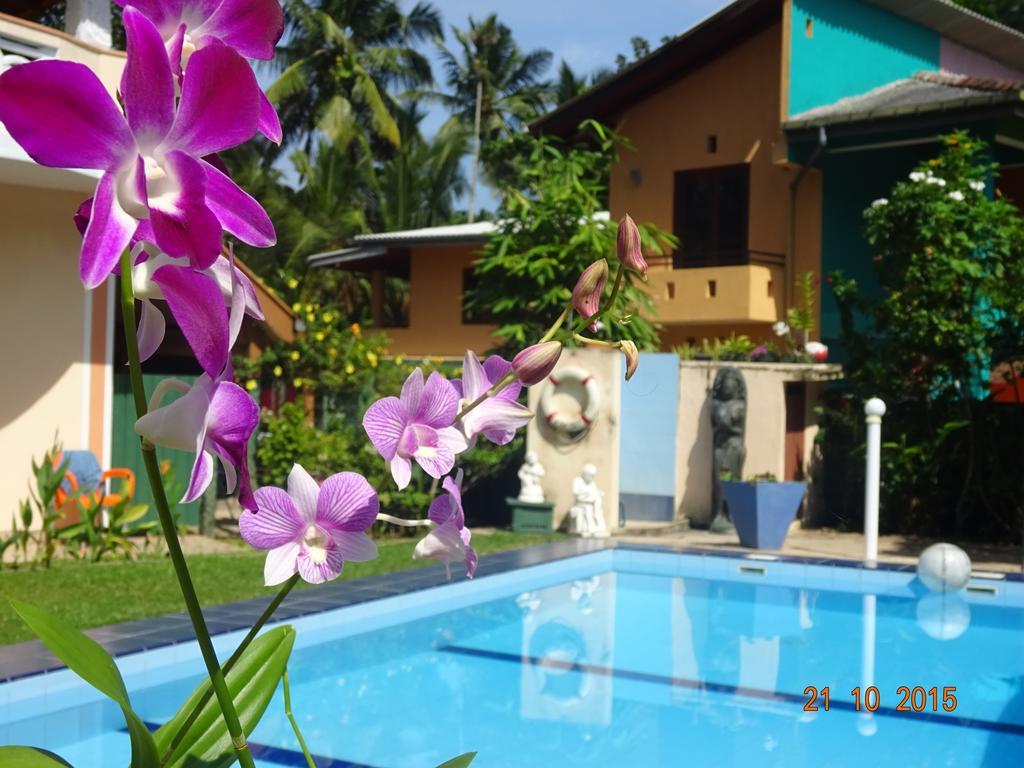 Hilda Guest House Hikkaduwa Esterno foto