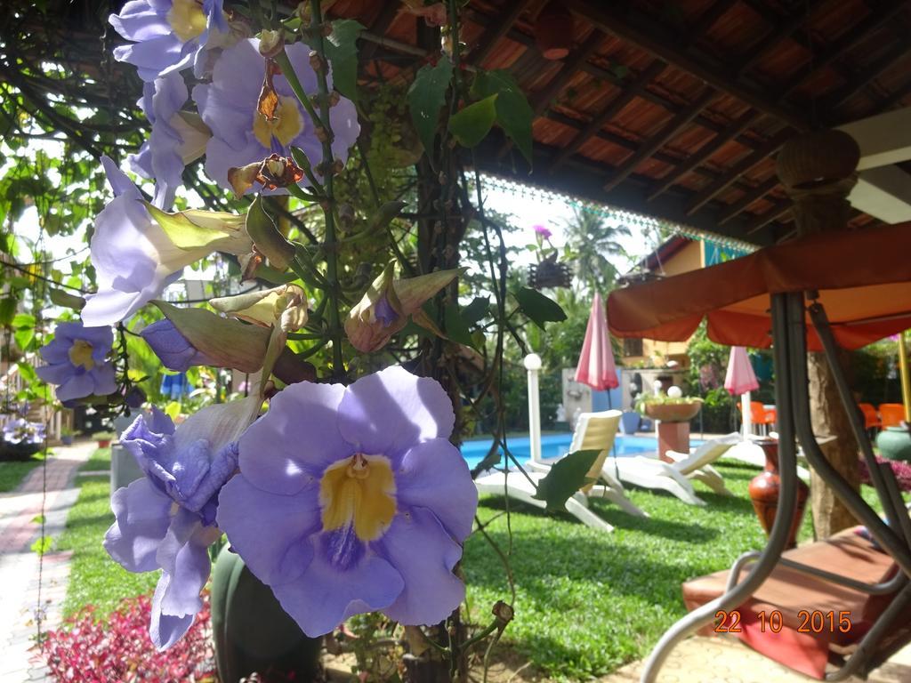 Hilda Guest House Hikkaduwa Esterno foto