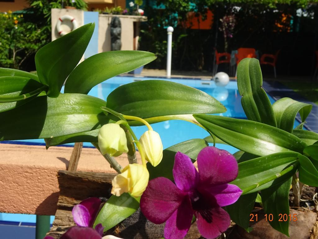 Hilda Guest House Hikkaduwa Esterno foto